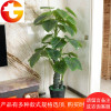 假树滴水观音仿真植物树绿植大型盆栽客厅办公室内假花落地装饰花