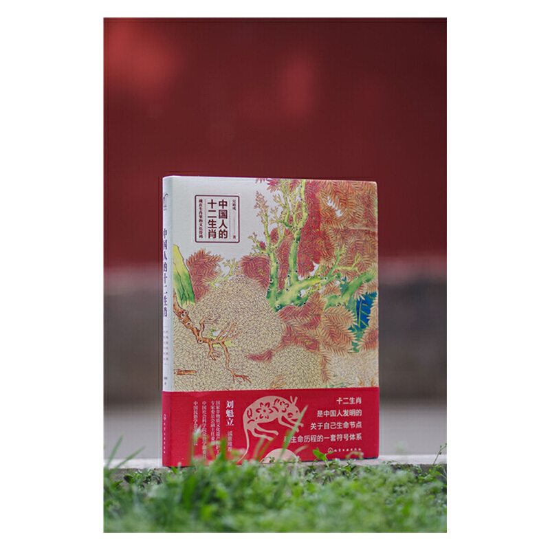 [正版] 中国人的十二生肖 中国传统文化十二生肖民间传说由来历史传说生肖故事民俗习惯属相中华文化经典中国风绘中国特文化遗高清大图