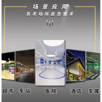 安全出口指示牌 嵌入式安全通道应急夜光指示牌 不带底盒 (双向)向左右430*180mm
