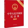 民法典2021年版最新司法解释实用问题版大字版 科技 正版图书 民法典含最新司法解释大字版