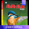 [任选3本39元]鸟类昆虫 [正版]飞机百科全书注音版图书儿童书籍科普航空大百科交通工具小百科绘本读物全套科学认知少儿3