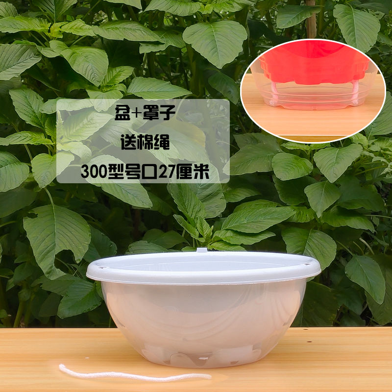 特料吊兰花盆绿萝专用花盆自动吸水懒人盆储水垂吊盆|300哑白4个装 花盆+透明罩+棉绳