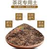 茶花四季开花盆栽香妃浓香型五色赤丹带花苞室内外好养活耐寒绿植 茶花专用土2斤 三年苗[明年开花]