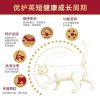 弗列加特成猫幼猫英短美短增肥发腮鸡肉无肉粉鲜肉猫粮2kg