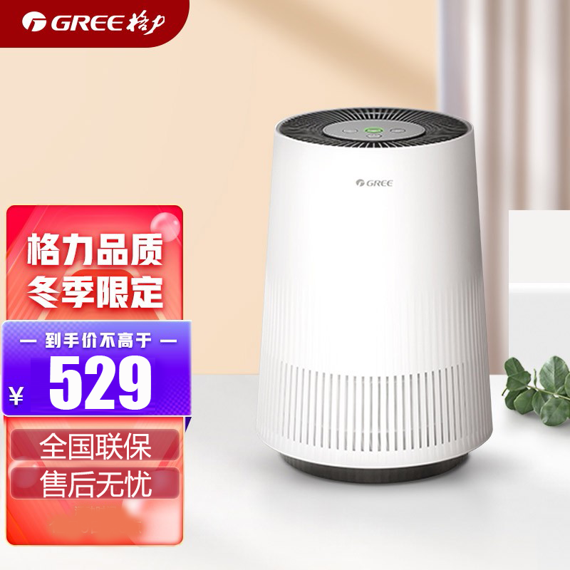 格力（GREE）桌面空气净化器小型家用卧室办公室除烟除尘（KJ100G-A01）