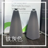 丹麦BO Bang Olufsen BeoLab 20 无线家庭影院HIFI环绕音箱发烧友 铁灰色