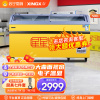 星星(XINGX) 商用展示柜 卧式冷柜 商用大容量 电子温显 冷藏冷冻转换柜 SD/SC-508BYE(黄)