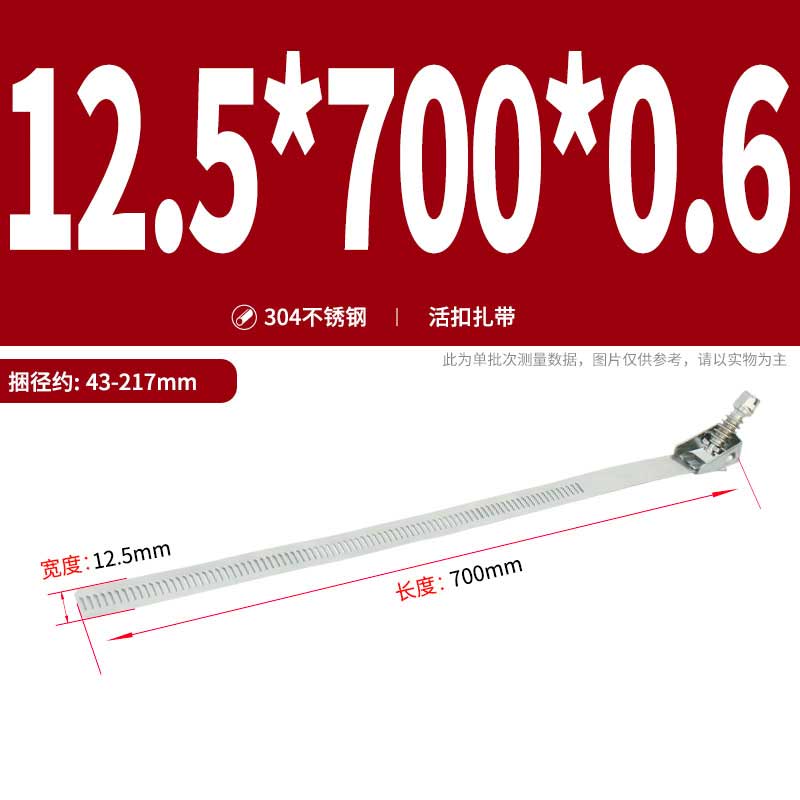 智宙 304不锈钢活扣扎带 12.5*700*0.6mm(捆径约:43-217mm) 十根