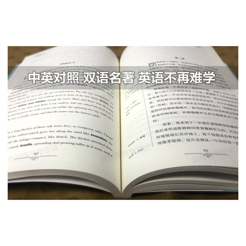 [中英互译]伊索寓言 [正版]中英双语安徒生童话书全集中英文双语名著读物英汉对照互译英语小说安徒生原著 读名著学英语 高