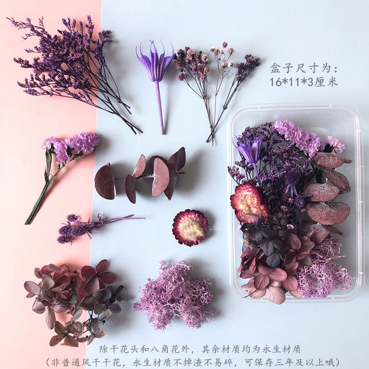 永生花满天星雏菊干花花材包浮游花压花幼儿园手工花艺diy材料包|紫丁香