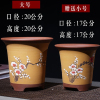 古达精品紫砂花盆种菜盆吊兰植物绿萝盆菖蒲盆特大号花盆陶瓷兰花花盆 高兰花盆特大号 大 点彩黄一大一小