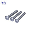 铂灳 半圆头铆钉 6*30mm 个