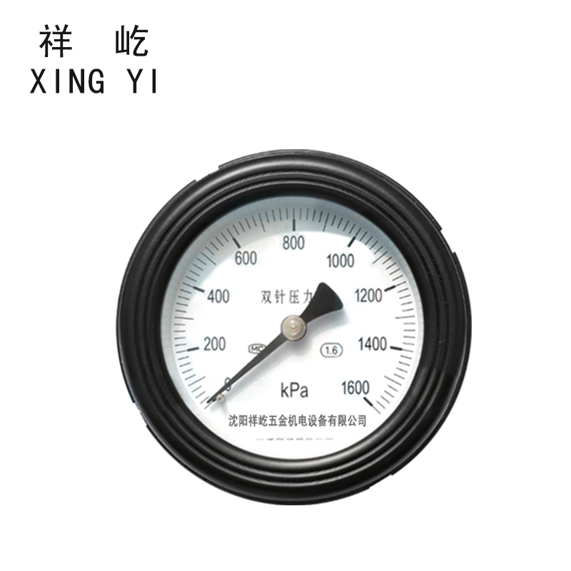 祥屹 双针双管压力表24V轴向 YYS100Z 个高清大图