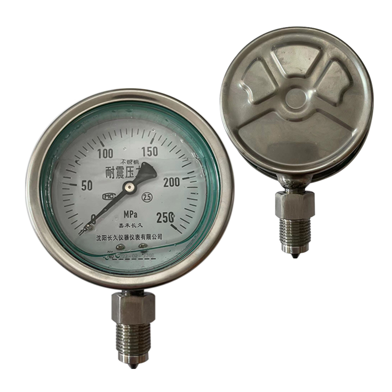 嘉禾长久/不锈钢耐震压力表/YN100BF/0*250MPA/可活动螺纹/块高清大图