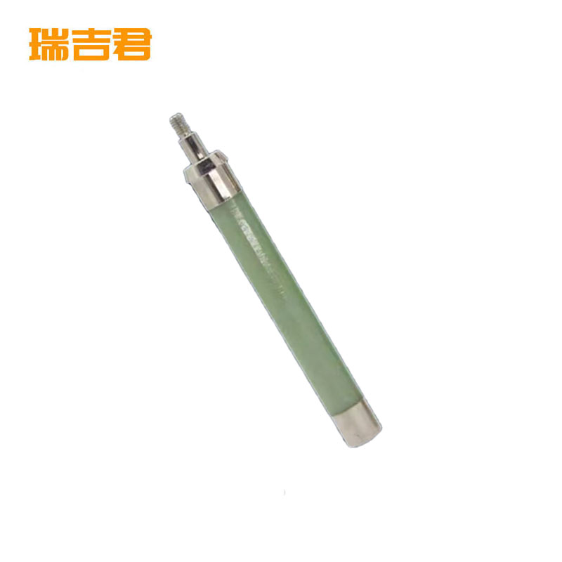 瑞吉君 保险管 XRNP4-12/1A50KA 根高清大图