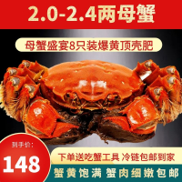大闸蟹鲜活螃蟹六月黄童子蟹2两8只公母黄油蟹鲜活螃蟹