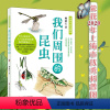 [正版]11-14岁我们周围的昆虫 生活中的生物学丛书 少年儿童科普读物 认识自然 华东师范大学出版社