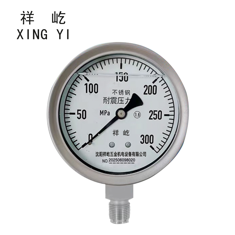 祥屹 耐震压力表 YN100 块 0-300Mpa