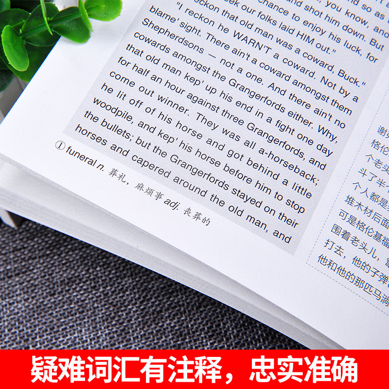[正版]哈克贝利费恩历险记英文版 英汉对照 中文译本英文原版 双语阅读 英语大书虫世界名译典藏书系哈克贝利费恩历险记
