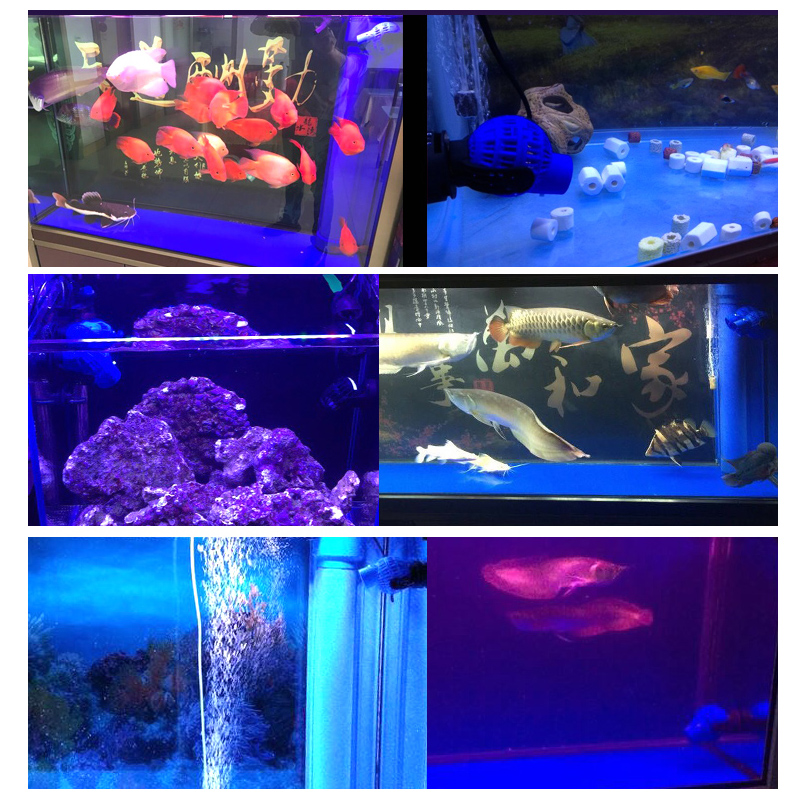 鱼缸造浪泵冲浪泵大功率小型抽粪打浪器四头造浪磁铁吸盘