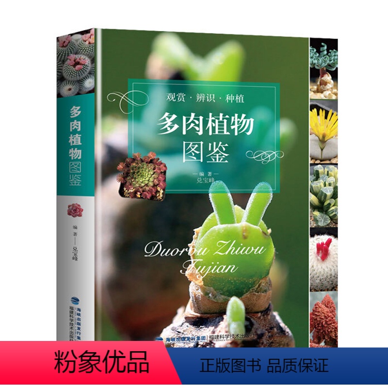 [正版]多肉植物图鉴(观赏·辨识·种植)常见多肉多浆植物园艺图集零基础养多肉这样养养护完全图鉴书籍高清大图