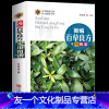 [友一个]全彩 新编百草良方实用图谱 图鉴图解中草药中药材彩色图谱附偏方药方 中药材药方养生中医养生保健本草纲目中医学