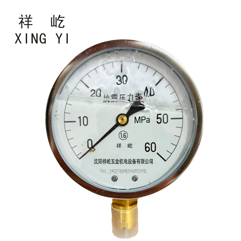 祥屹+耐震压力表检测定制型+YTN100+块 0-60Mpa