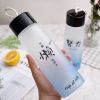 水杯男女便携杯子创意个性茶杯潮简约清新森系磨砂玻璃杯