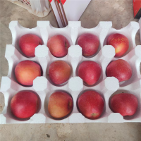 云南昭通丑苹果冰糖心苹果特大果7斤带箱12个装(礼品盒)(85~90mm直径)苹果新鲜现采摘红富士