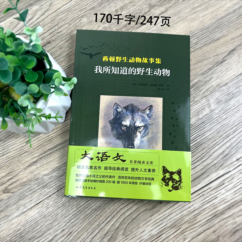调皮的日子 全套4册 [正版]我所知道的动物 西顿动物故事集小学生三年级课外书老师阅读书籍儿童读物少儿图书山东文艺出版社