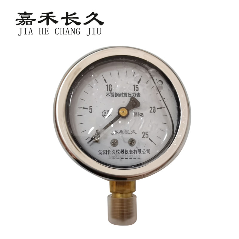 嘉禾长久+不锈钢耐震压力表检测定制型+YN60BF+块 0-25Mpa
