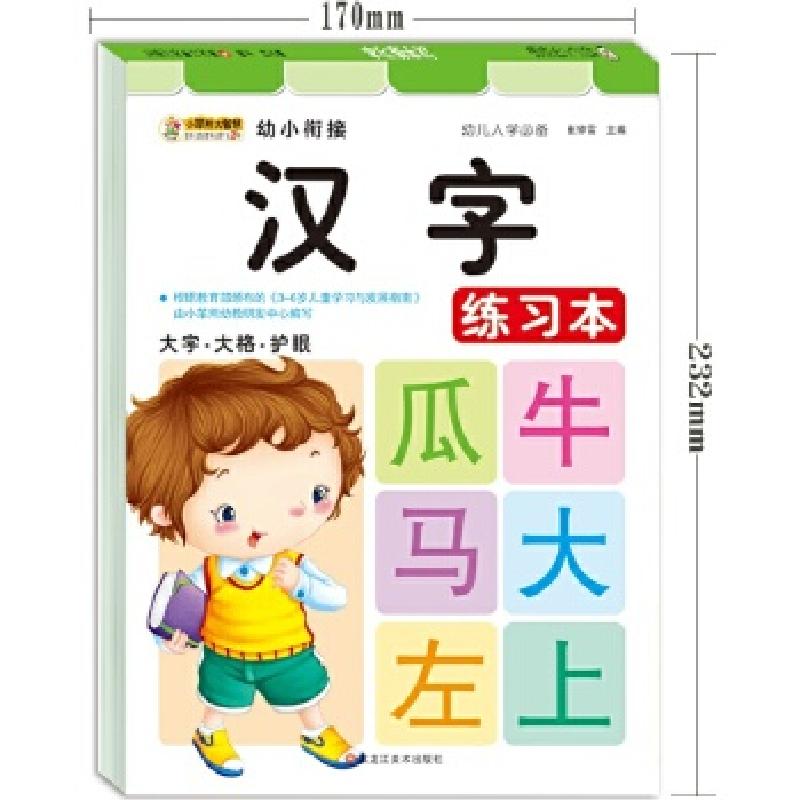 正版新书]幼小衔接入学必备*汉字练习本崔钟雷9787531850274