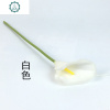 仿真pu马蹄莲郁金香10支花束假花绢花塑料花客厅居家餐桌装饰摆件 封后 蓝色马蹄莲(10支不含花瓶)
