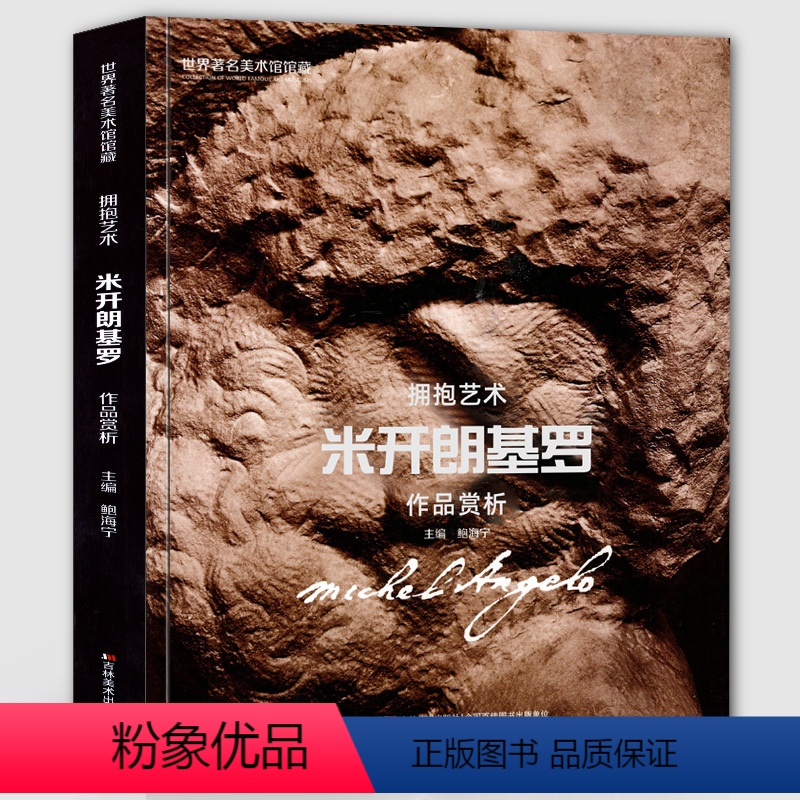 [正版]8开235页米开朗基罗作品赏析 世界美术馆馆藏拥抱艺术 米开朗基罗雕塑画册人物形象场景建筑雕塑实拍照片全集高清