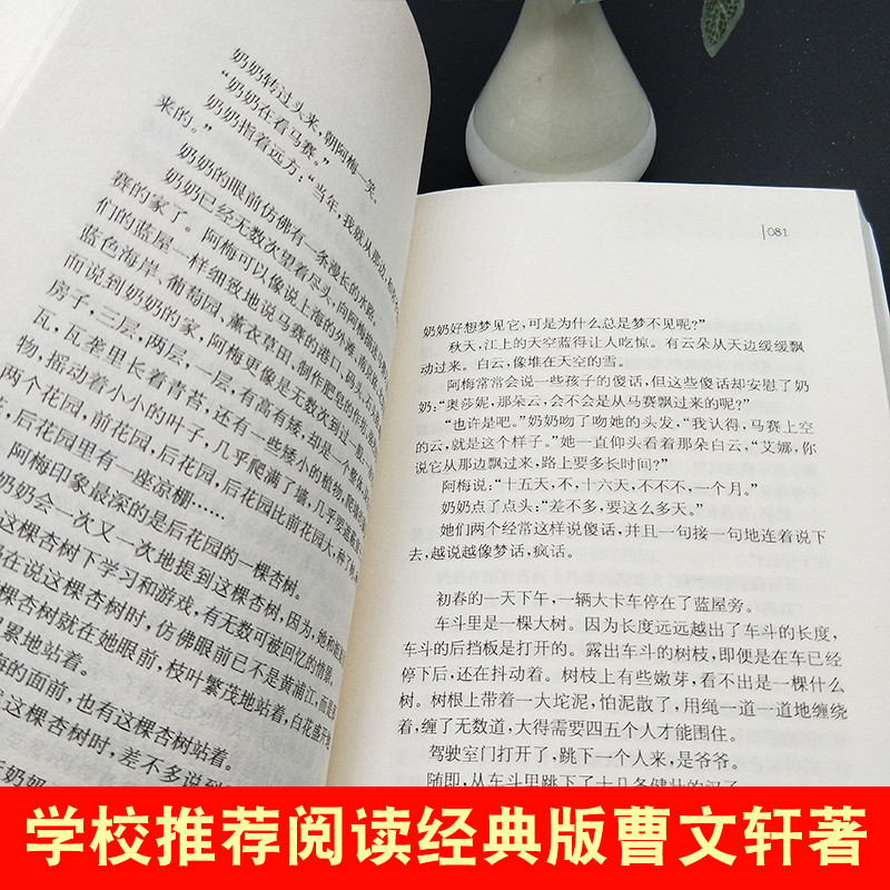 ❤根鸟 [正版]蜻蜓眼 曹文轩纯美小说系列儿童校园文学青少版小学生课外阅读书籍8-9-10-12-15岁读物凤凰书店