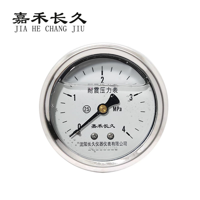 嘉禾长久 耐震压力表轴向检测定制型 YTN60Z 块 0-4Mpa