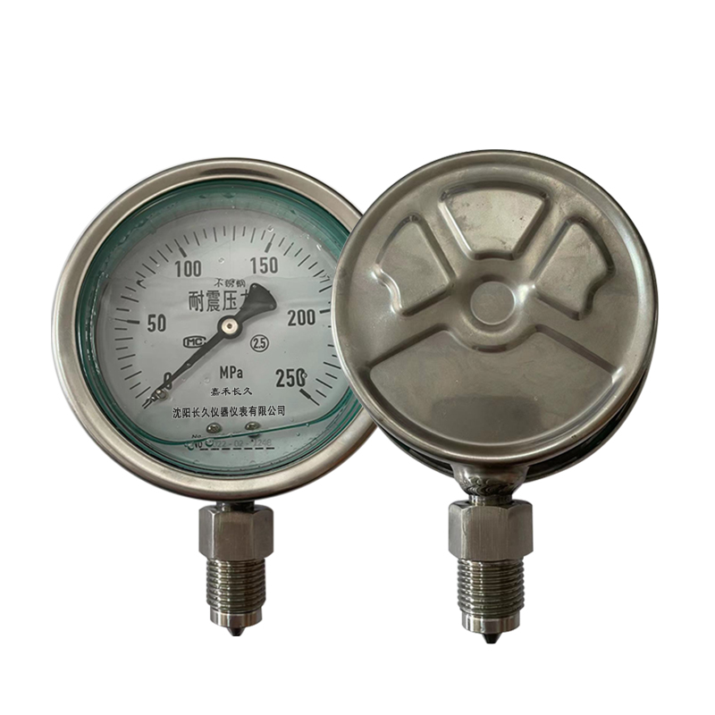 嘉禾长久/不锈钢耐震压力表/YN100BF/0*250MPA/可活动螺纹/块高清大图