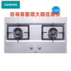 西门子(SIEMENS)ER8MF255MP 大火力不锈钢