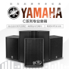 Yamaha/雅马哈 C112VA V系列演出音箱音响全频音箱 吊装音箱