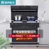容声(RONGSHENG) J集成式燃气灶WE2152ZK-Y 液化气