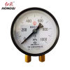 红旗 双针压力表定制检测款 Y100 1000KPA 块