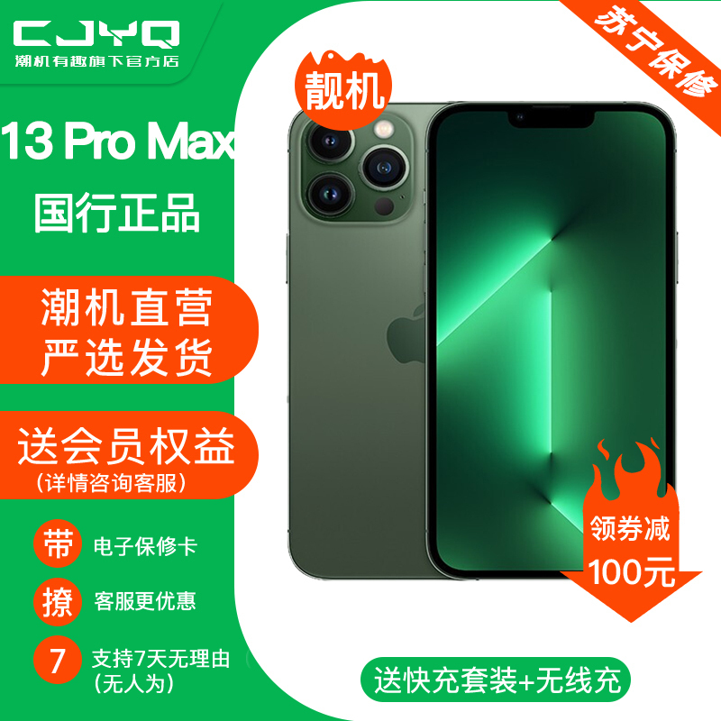 【二手95新】Apple iPhone13 Pro Max 苍岭绿色 128GB 苹果13PM 国行全网通 正品