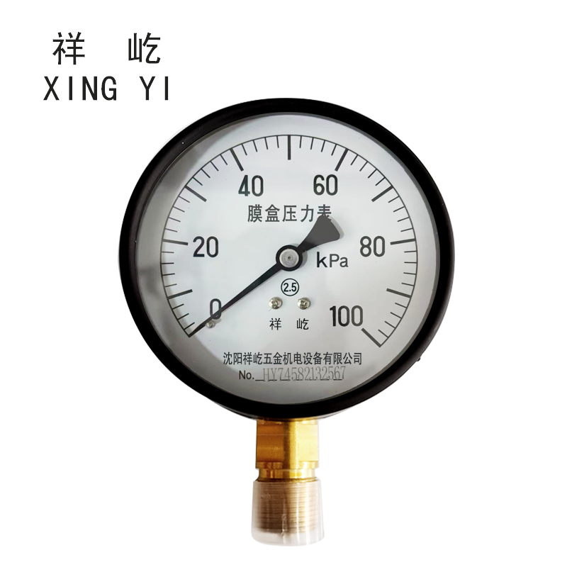 祥屹+膜盒压力表检测定制型+YE100+块 0-100Kpa