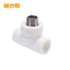 瑞吉君 PPR外丝三通 20mm 个