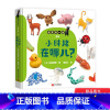 [正版]小胖猪在哪儿精装绘本图画书迷你找一找系列认知动物食物形状和颜色游戏绘本发展观察力和专注力适合0-3岁蒲蒲兰童书