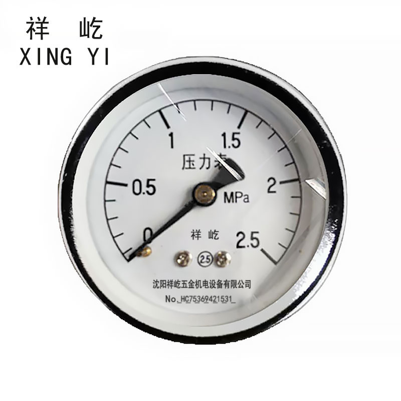祥屹 压力表轴向检测定制型 Y40Z 块 0-2.5Mpa