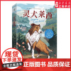 灵犬莱西 跨越一千英里一只忠犬的归家之路儿童文学经典名著美国青少年精选奖二年级三年级四五六年级小学生课外书 正版
