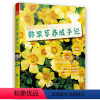 [正版]酢浆草养成手记 如何栽植花园球根植物花卉培育什么是球根植物种球挑选与养护病虫害防治造景方法基础知识书籍