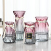 [四件套]北欧创意玻璃花瓶透明水养富贵竹玫瑰花瓶客厅插花摆件 15贴标+折纸+钻石+米兰(紫灰色) 大