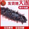 君旺海鲜 即食海参大连特产500g/袋鲜蒸辽刺参开袋即食底播野生单个装海味零食海鲜水产干货